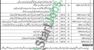 Sindh Environmental Protection Agency Sindh Jobs 2019