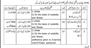 Directorate of Health Department AJK Jobs 2018 for Support Staff Latest Advertisement