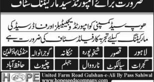 Hope Seed Company Jobs 2018 for Marketing Staff in Major Cities Latest advertisement