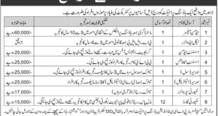 Lahore Housing Project Jobs 2018 for 19+ Admin, Accounts, Legal, Surveyors & Security Staff Apply Online