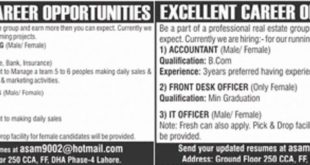 Lahore Real Estate Group Jobs 2018 for Marketing Managers, Accounts, IT Officer and Front Desk Officer Latest Advertisement