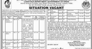 Livestock Department Sindh Jobs 2018 for 20+ Instructors, Veterinary Officers, Computer Operator, Dy Director, Lab & Support Staff Latest