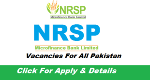 NRSP Microfinance Bank Limited Jobs-2