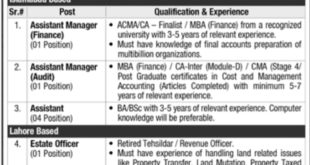 Pakistan Real Estate Investment And Management Company Jobs