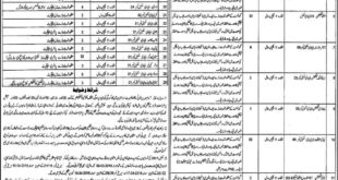 Primary And Secondary Healthcare Department Jobs
