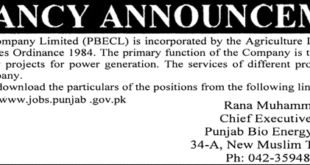 Punjab Bio Energy Company Limited jobs
