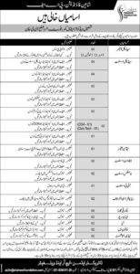Shaheen Foundation PAF Jobs