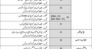 Shaheen Foundation PAF Jobs