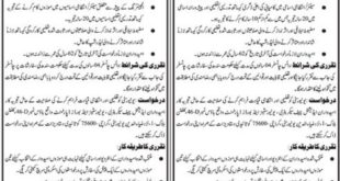 University & Boards Department Sindh Jobs 2018 for Vice Chancellors Advertisement - Apply