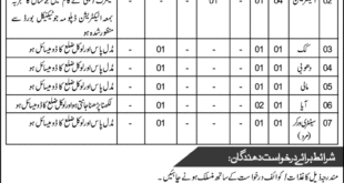 CMH Risalpur Jobs 2018 for 8+ Medical & Support Staff Latest Advertisement