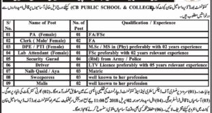 Cantonment Board DI Khan Jobs 2018 for 18+ PA, Clerks, DPE, PTI, Lab, Security & Support Staff Latest Advertisement