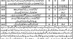 City District Government Peshawar KP Jobs 2018 for Stenographer, Instructor, Assistant Manager, Municipal Inspector & Other Staff Latest Advertisement
