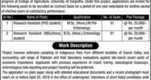 College of Agriculture University of Sargodha Jobs 2018 for Research Assistants Latest Advertisement