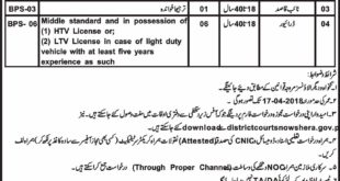 District Courts Nowshera KP Jobs 2018 for 15+ Computer Operator, Junior Clerk, Process Servers & Other Staff Latest Advertisement