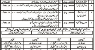 Elementary & Secondary Education Department KP Jobs 2018 for 18+ Librarian and Teachers Advertisement
