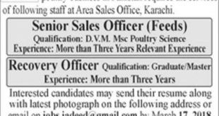Jadeed Group of Companies Jobs 2018 for Sales & Recovery Officers Latest Advertisement