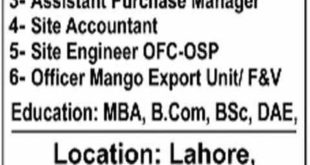 Lahore Company Jobs 2018 for Accounts, Engineering, Purchase, Operation and Office Staff Latest Advertisement - Apply Online