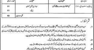 Local Government & Rural Development Department AJK Jobs 2018 for Project Assistants Latest Advertisement
