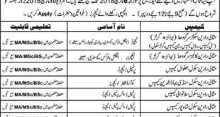Misali Ravian Group of Schools & Colleges Jobs 2018 for Teachers & Principals Latest Advertisement