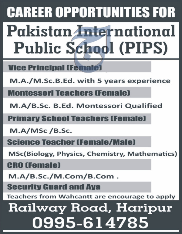 Pakistan International Public School (PIPS) Haripur Jobs 2018 for CRO, Teachers & Support Staff Latest Advertisement