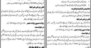 Universities & Boards Department Sindh Jobs 2018 for Treasurer and Director Finance Posts Latest