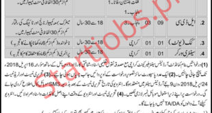 Advertisement of Pak Army Jobs 2018 for 8+ LDC, UDC Clerks, Cook Unit & Sanitary Worker at Ordnance Center Malir Cantt Latest