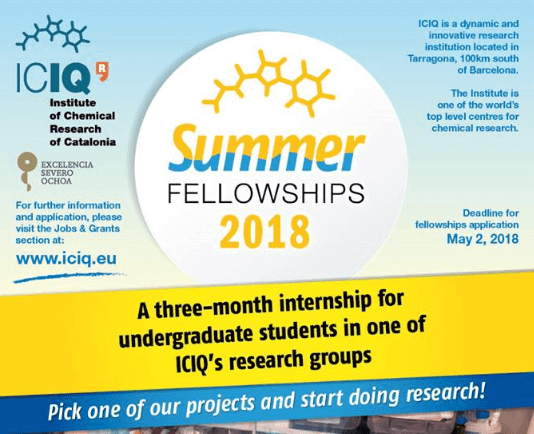 ICIQ Summer Fellowship Program in Spain