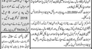 Instructor & Security Guard Jobs Available in Reputed Institute in Islamabad Latest Advertisement