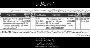 PO Box 577 Faisalabad Jobs 2018 for Researchers & Research Assistants Latest Advertisement