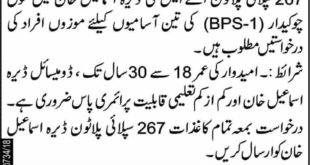Pak Army 267 Supply Palatoon Jobs 2018