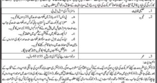 Transport & Mass Transit Department Sindh Jobs 2018 for Consultant, Focal Person Latest Advertisement