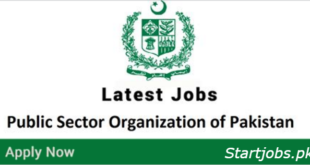 public sector organization Jobs