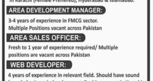 Bays International 7+ Jobs 2018 for Sales, Managers & IT Staff