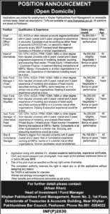 Finance Department Govt Of KPK Jobs For Chief Financial Officer, Head Of Alternatives & Others