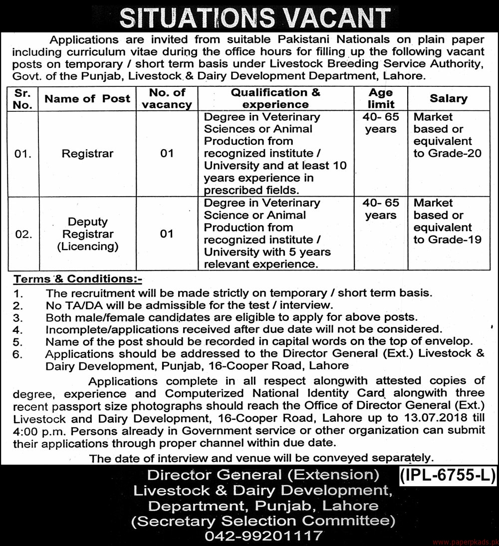 Livestock & Dairy Development Department Punjab Jobs For Registrar, Deputy Registrar