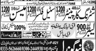 New Gondal Trade Test And Training Centre 50+ Jobs For Shuttering Carpenter, Steel Fixer & Others