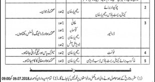 Rahim Yar Khan Canal Division 24+ Jobs For Beldar, Chowkida & Others
