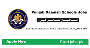 Punjab Danish Schools Jobs