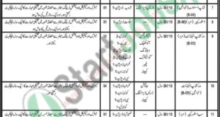 Directorate of Manpower and Training Balochistan Jobs For Instructor, Stenographer & Others (1)