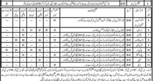 Jobs-in-Balochistan-Revenue-Authority-14-Jul-2018