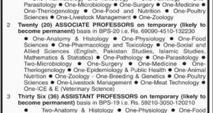 Cholistan University of Veterinary and animal Sciences Jobs 2018