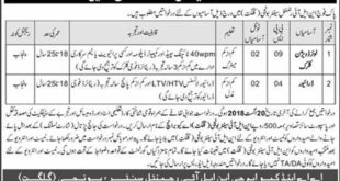Pak Army NLI Regimental Center Gilgit Jobs For Lower Division Clerk, Driver