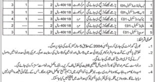 Govt Degree College For Women Jobs For Lab Attendant,Naib Qasid & Others