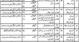 Punjab Fisheries Department 83 Jobs For Fisheries Research Assistant, Junior Clerk & Others