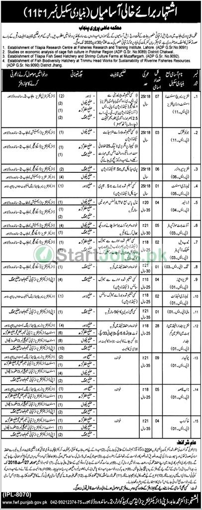 Punjab Fisheries Department 83 Jobs For Fisheries Research Assistant, Junior Clerk & Others