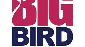 big bird