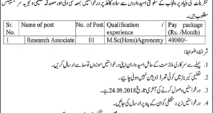 Ayub Agriculture Research Institute Jobs 2018