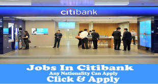 Citi Bank Jobs