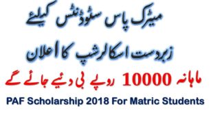 PSF Scholarship For Matric