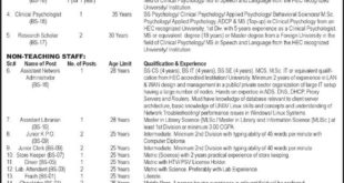 University Of The Punjab jobs
